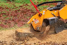 Best Commercial Tree Services  in Merkel, TX
